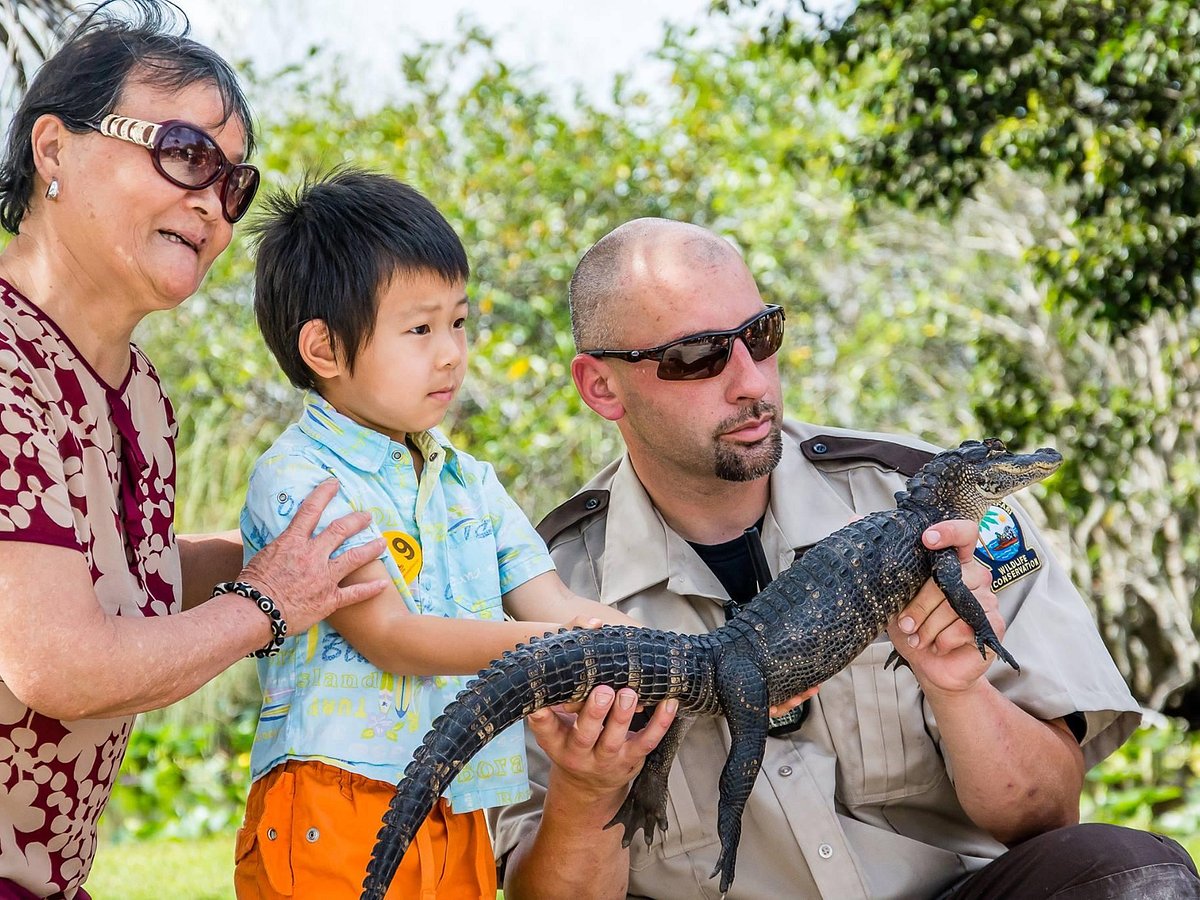 Everglades Safari Park, Майами: лучшие советы перед посещением - Tripadvisor