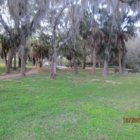 A. L. Anderson Park (Tarpon Springs) - All You Need to Know BEFORE You Go