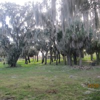 A. L. Anderson Park (Tarpon Springs) - All You Need to Know BEFORE You Go