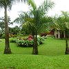 travelbug8405