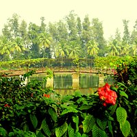 Island Garden