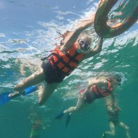 snorkel shop playa del carmen