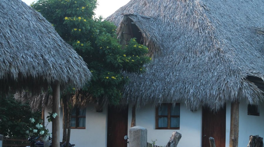 The House