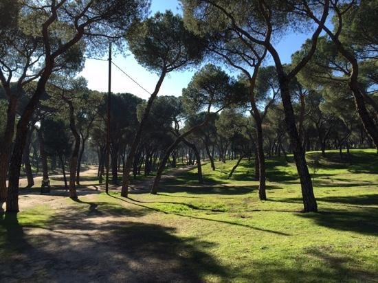 Dehesa De La Villa Park (madrid) - All You Need To Know Before You Go 