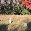 grave_seeker