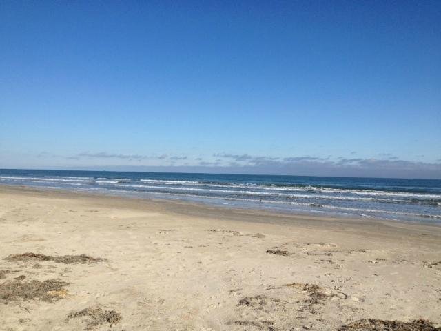 are dogs allowed on port aransas beach