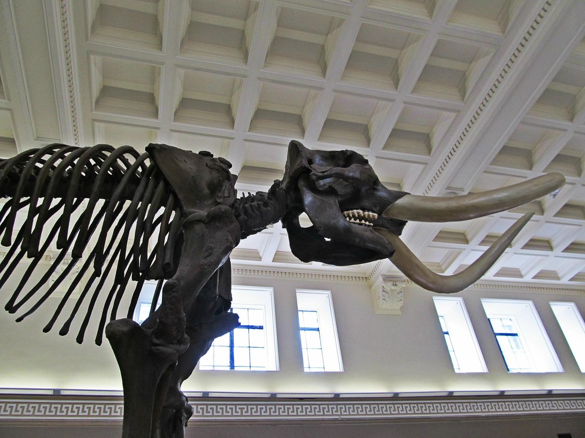Buffalo Museum Of Science Hour