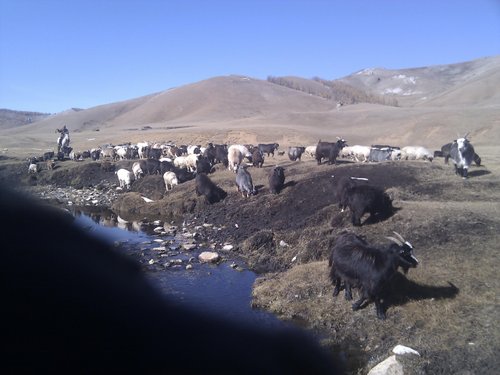 Khovsgol Province review images