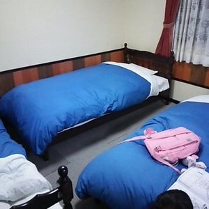 ベット