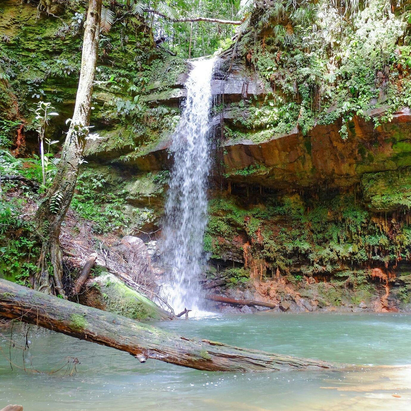 Lambir Hills National Park