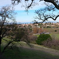 bird's-eye view of the park
