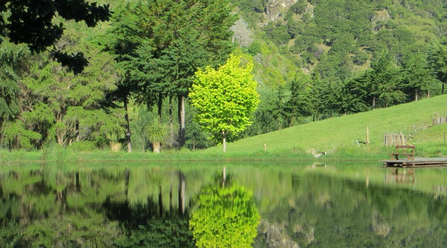 Vue de l'étang