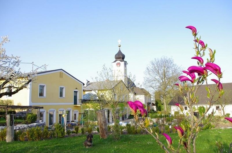NATUR.GUT GASTHAUS GARTNER, Linz Menu, Prices & Restaurant Reviews