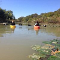 Guided kayaking on the McWhorter Creek