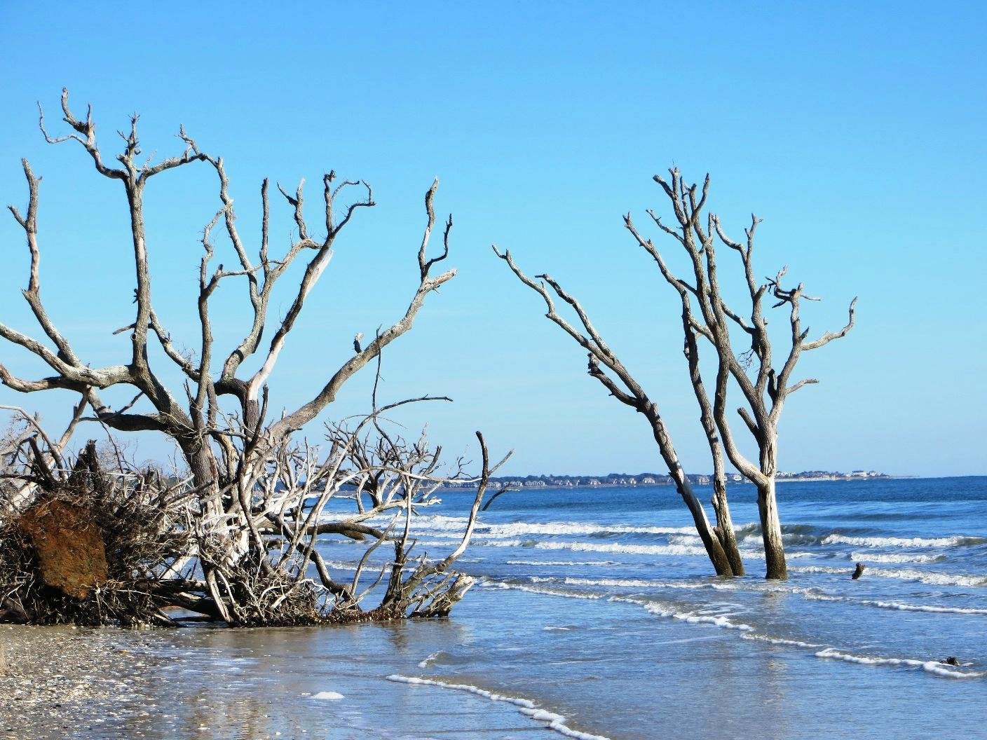 Botany Bay Plantation Heritage Preserve And Wildlife Management Area ...