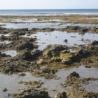 退潮時海岸線很長