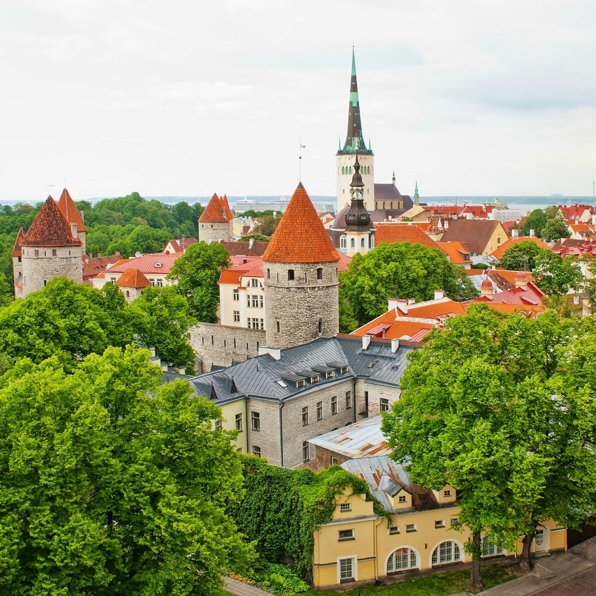 Таллинн 2023. Nordic Centrum Таллинн. Эстония Таллин зелень. Бебикескус Таллинн.