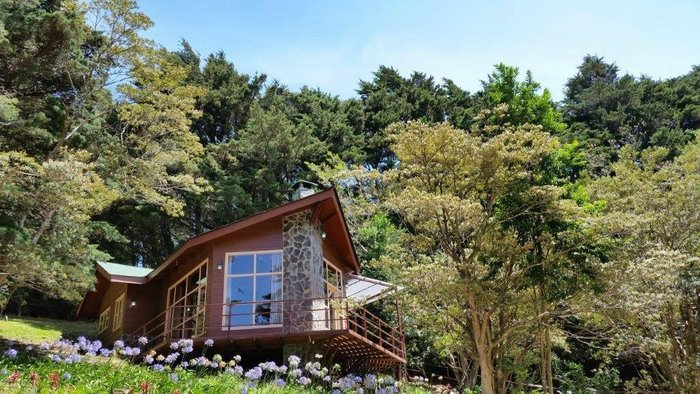 LOS PINOS - CABANAS Y JARDINES desde $1,779 (Cerro Plano, Costa Rica) -  opiniones y comentarios - hotel - Tripadvisor