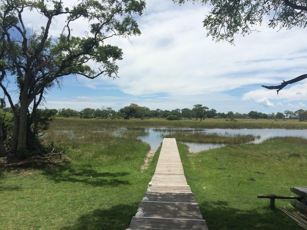 Andbeyond Xaranna Okavango Delta Camp Bar or Lounge: Pictures & Reviews ...