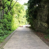 亀ヶ谷切通しの光景です。