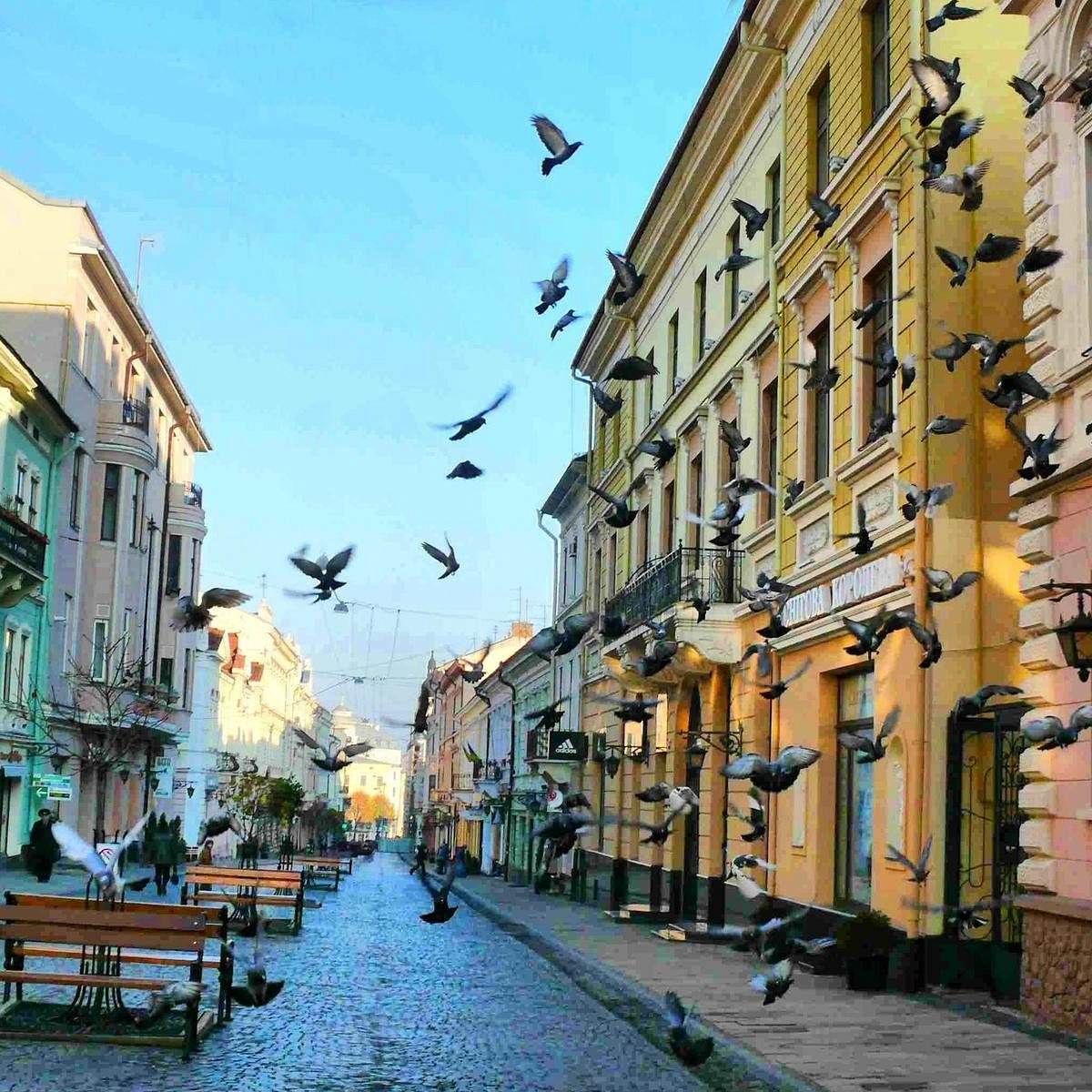 Улица ольги кобылянской