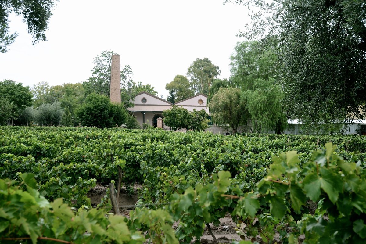 WEINGUT LAGARDE (LUJÁN DE CUYO) MENDOZA, ARGENTINIEN