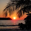 Travebug38