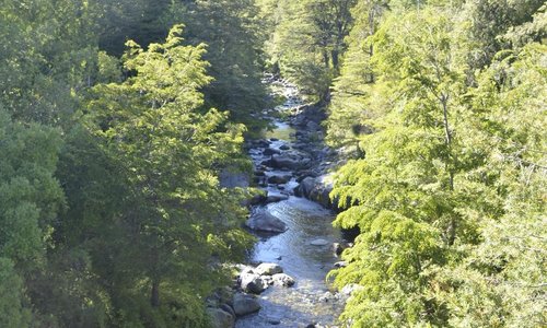 RIO RENEGADO