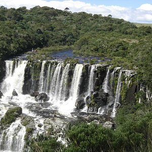 Apiário de Cambará do Sul oferece Passeio do Mel - Celso Sgorlla