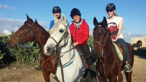 Golden Bay Horse Riding - All You Need to Know BEFORE You Go (with