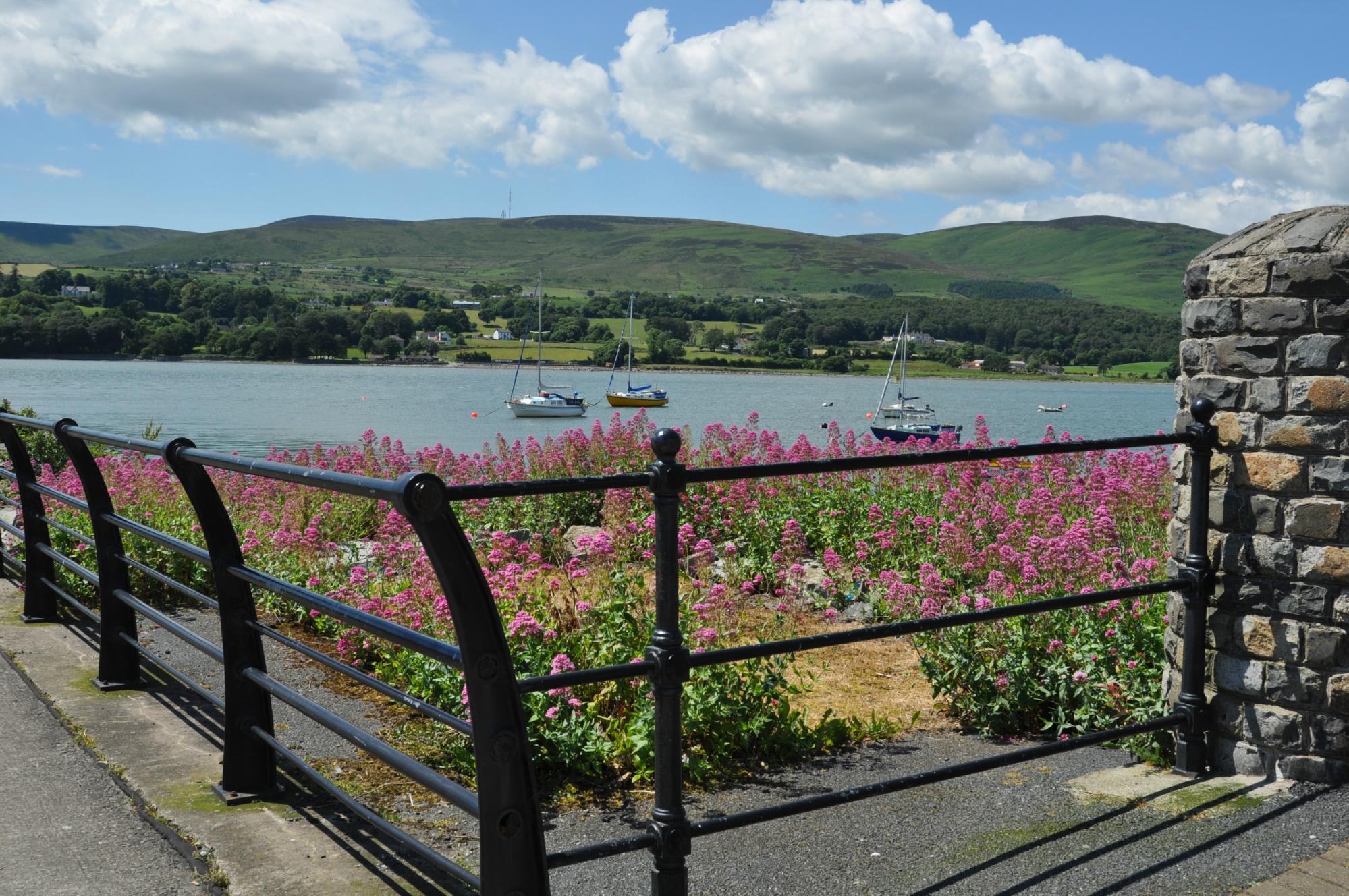 BAYVIEW BED AND BREAKFAST WARRENPOINT - B&B Reviews