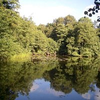 Stanmore Country Park