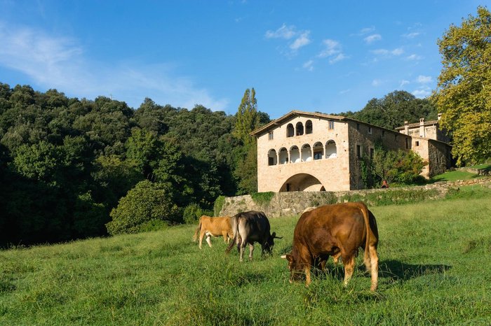 Imagen 2 de Casa Rural El Callís