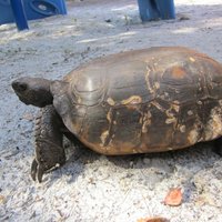 Deerfield Island Park (Deerfield Beach) - All You Need to Know BEFORE ...