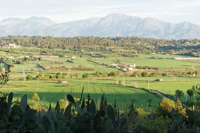 Imagen 23 de Sa Rota d'en Palerm