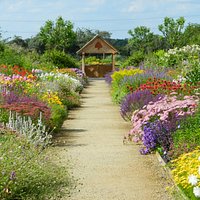 double border mid-summer