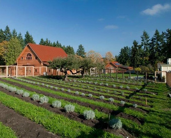 Bainbridge Island Japanese American Exclusion Memorial - Tripadvisor