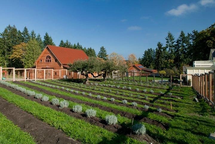 Heyday Farm (Bainbridge Island) - 2022 What to Know Before You Go (with  Photos) - Tripadvisor