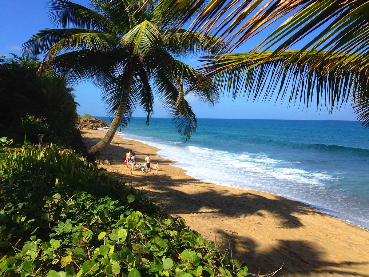 SUNSET PARADISE VILLAS, PORTO RICO, CARIBE: 190 fotos, comparação de preços  e avaliações - Tripadvisor