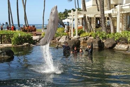 オアフ島のイルカと泳げる オアフ島の 10 件のイルカと泳げるをチェックする トリップアドバイザー