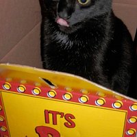 After we ate. Edgar was liking his whiskers and having fun in the box.