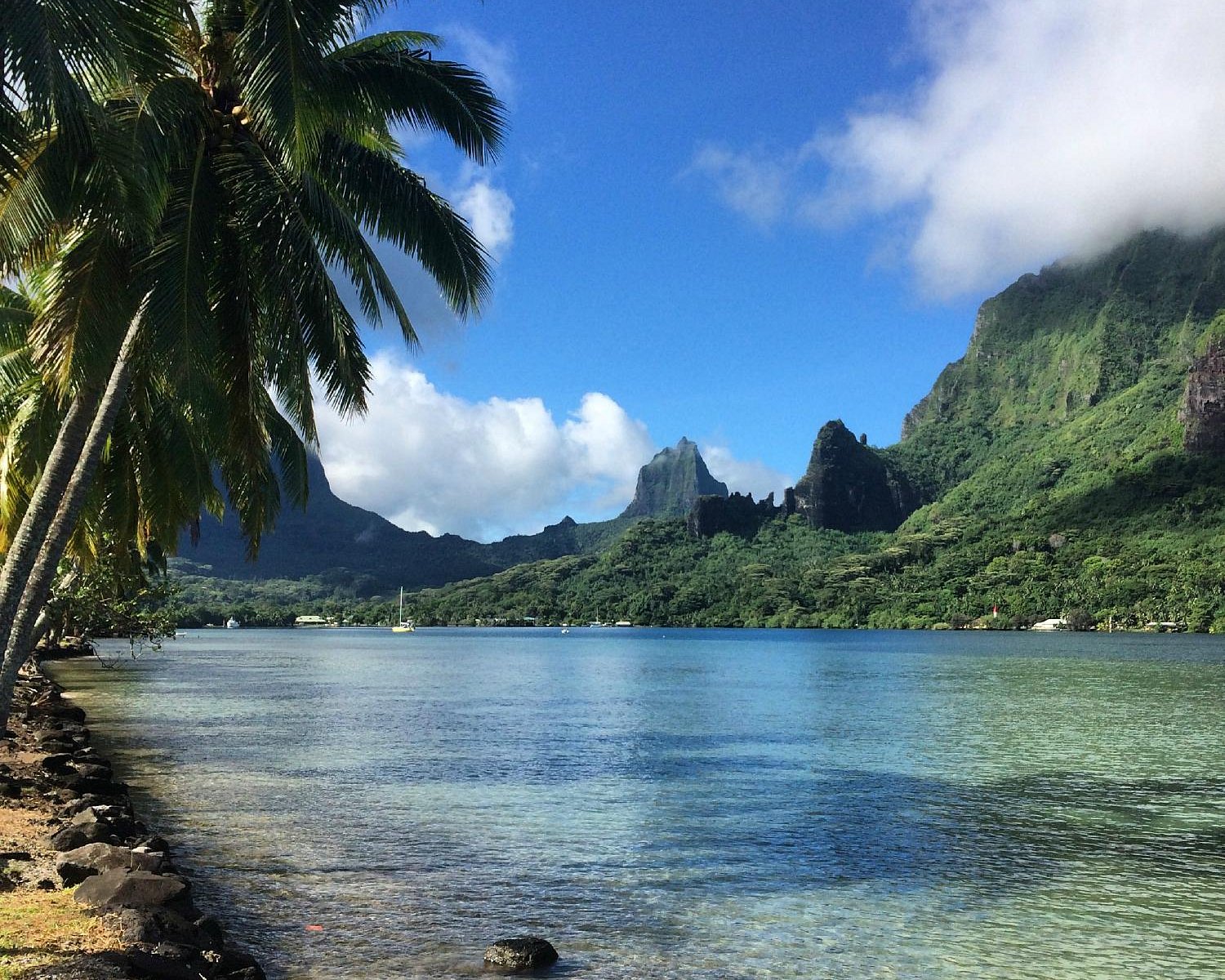 tours moorea tripadvisor