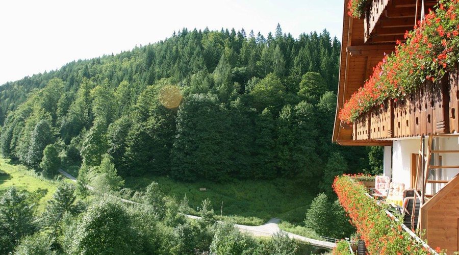 Ausblick in den Schwarzwald