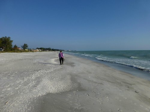 Cannons Cottages Longboat Key