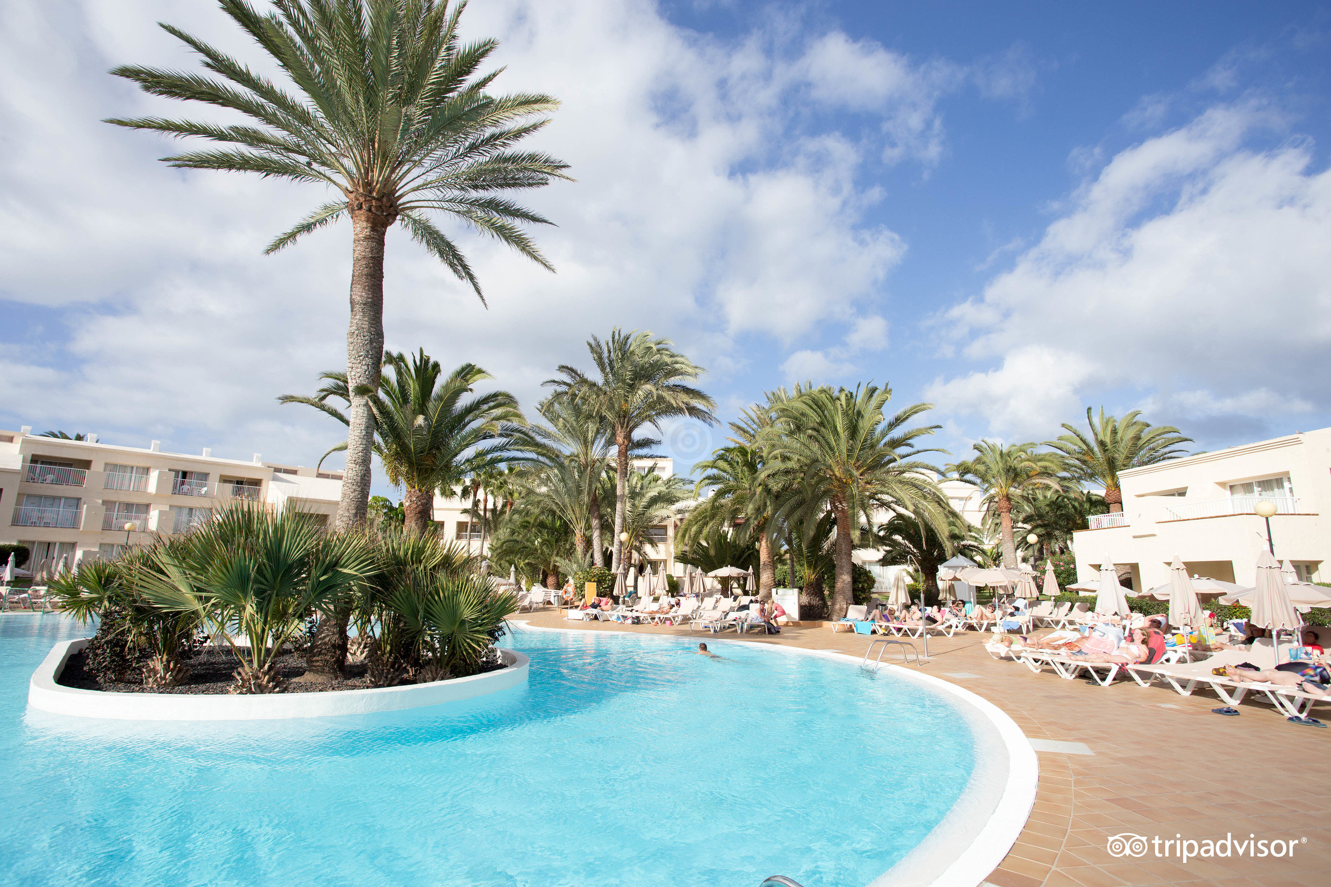 Hotel Riu Oliva Beach Resort Pool Pictures Reviews Tripadvisor