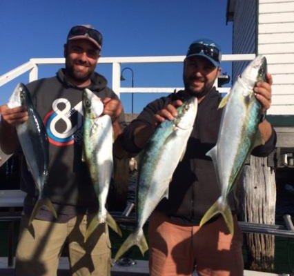 Proline Fishing Charters (sorrento): All You Need To Know