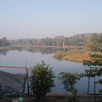 Barnawapara Wildlife Sanctuary - All You Need to Know BEFORE You Go (2024)