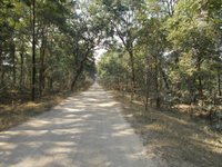 Barnawapara Wildlife Sanctuary - All You Need to Know BEFORE You Go (2024)