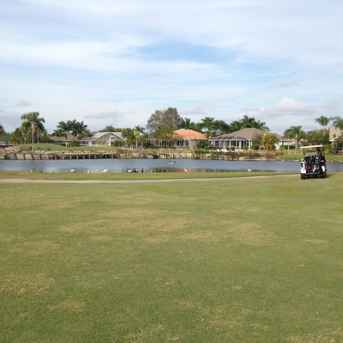 PalmettoPine Country Club (Cape Coral) All You Need to Know BEFORE