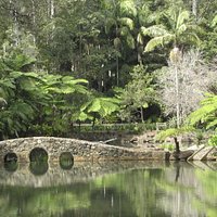 The Iconic Stone Bridge